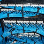 Blue Ethernet cables connected to a patch panel